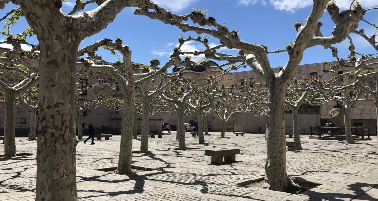 Springtime in Zamora