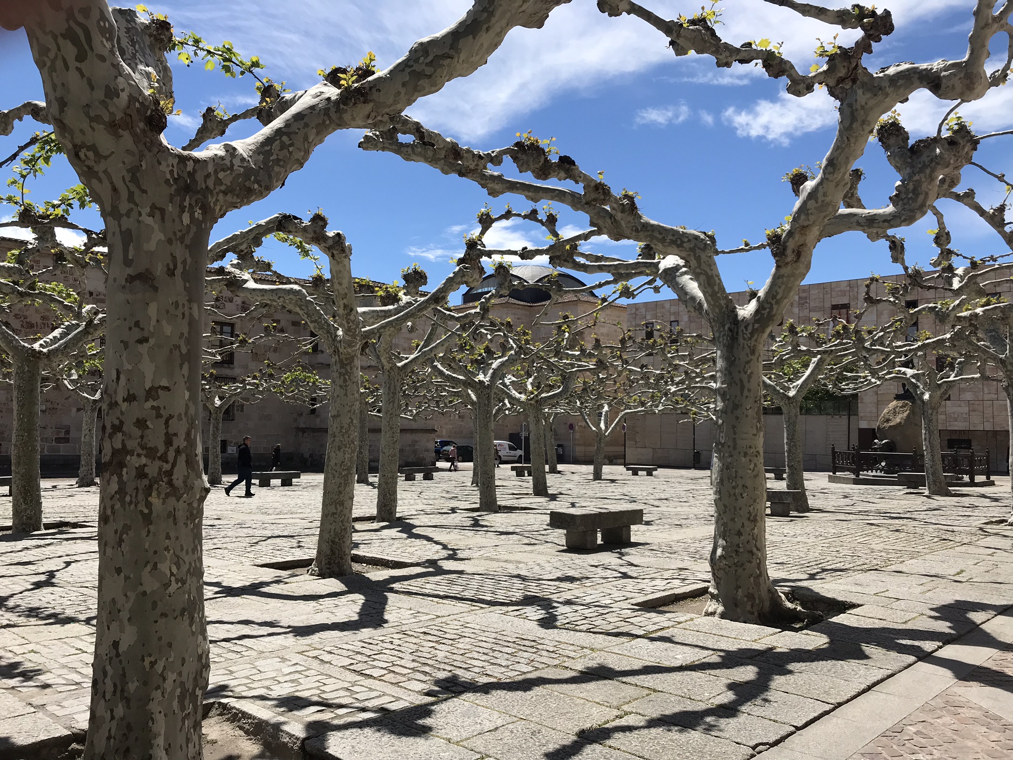 Springtime in Zamora