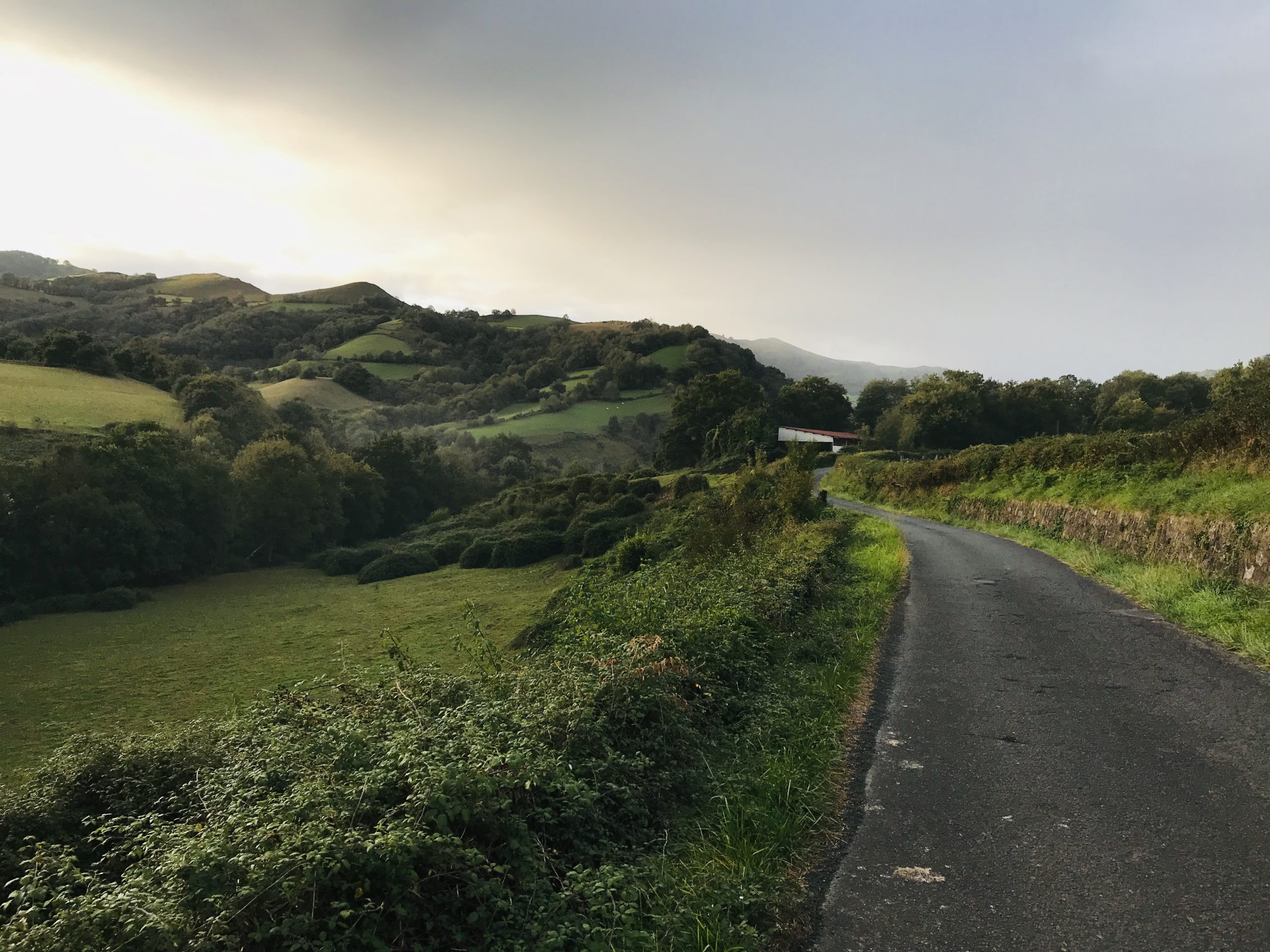 Two Roads Lead to Roncesvalles